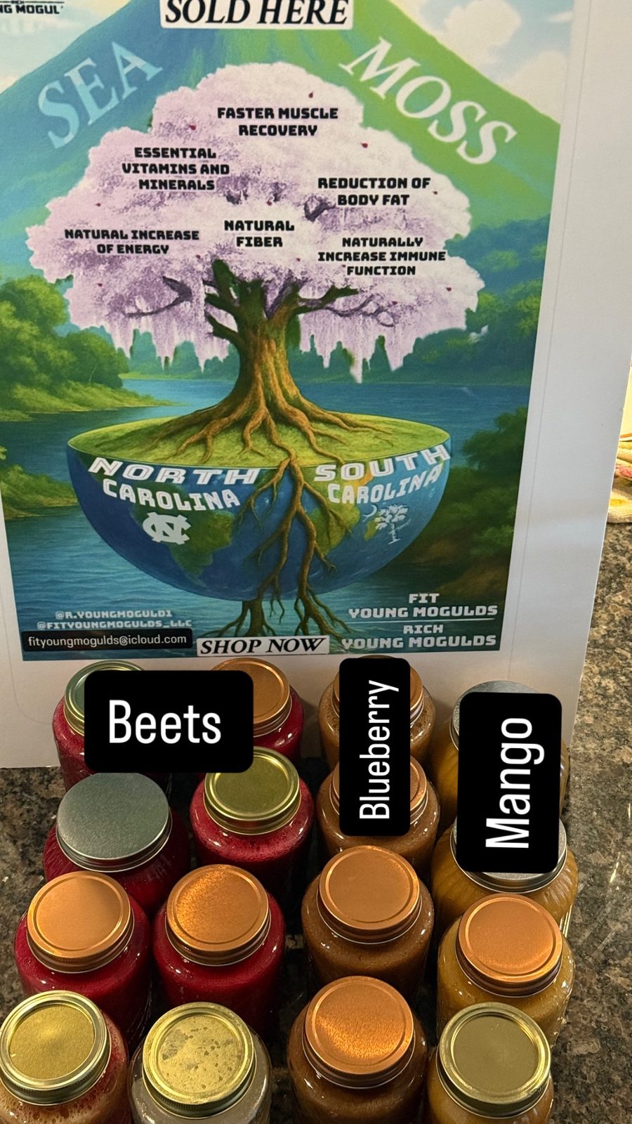Blueberry Sea Moss Gel — Fit Young Moguls